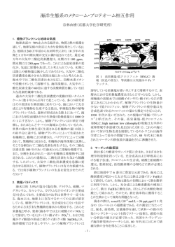 海洋生態系のメタローム・プロテオーム相互作用