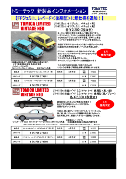 （黒/銀）/（銀/グレー