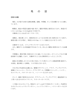 馬の話（PDF：28KB）