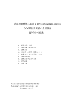 MMF使用実態調査研究計画書