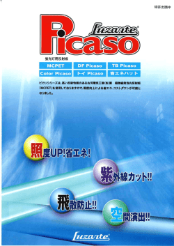 ピカソカタログ （PDF 823KB）