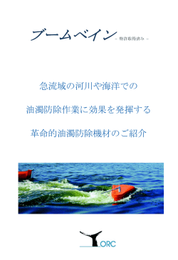 ブームベイン - 株式会社ロックブリッジ