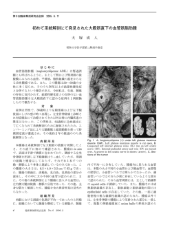 初めて系統解剖にて発見された大殿筋直下の血管筋