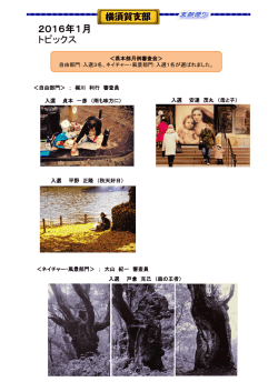 1月 - 全日写連 神奈川県本部