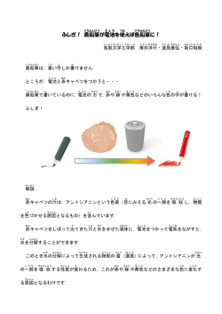 ふしぎ！ 黒鉛筆 が電池 を使 えば色 鉛筆 に！