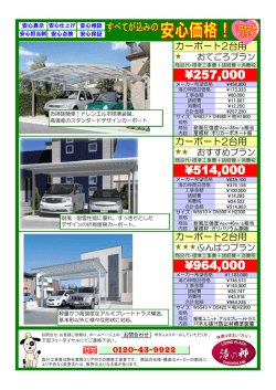 カーポート2台用がお得に！