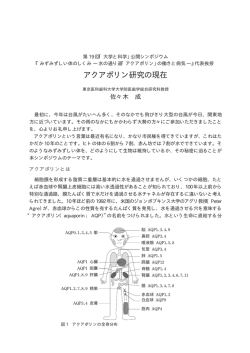 アクアポリン研究の現在