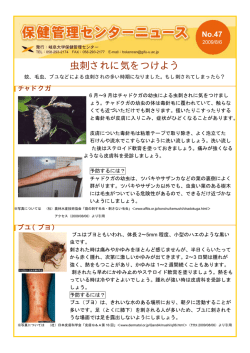 虫刺されに気をつけよう