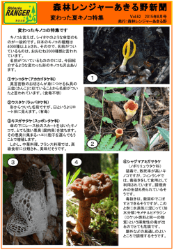 森林レンジャーあきる野新聞
