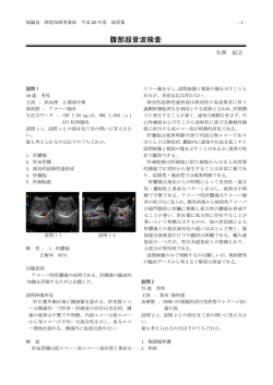腹部超音波検査