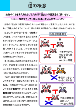 こちら