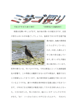 PDFファイル：ミサゴ便り：平成17年8月20日号