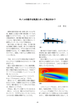 キノコの胞子は気流にのって飛ぶのか？