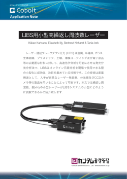 LIBS用小型レーザー