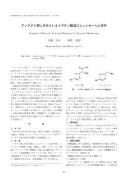 テングタケ類に含有されるイボテン酸及びムッシモールの 析
