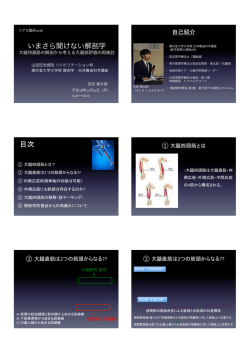 2E いまさら聞けない解剖学～大腿四頭筋の解剖から考える大腿部評価