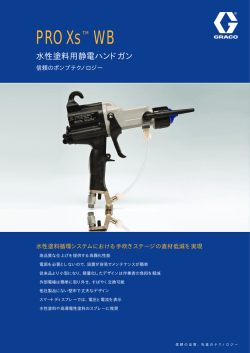 PRO Xs WB