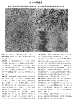 牛の心臓腫瘍