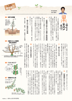 果樹のページ