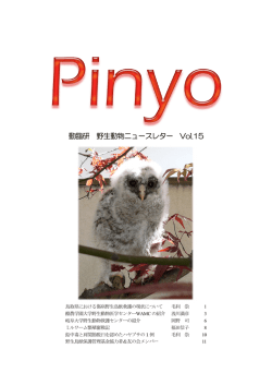 Pinyo vol.15を更新しました