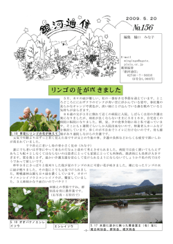 156 - みな子の銀河通信