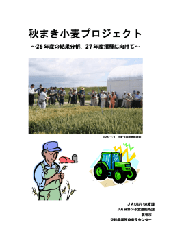 秋まき小麦プロジェクト