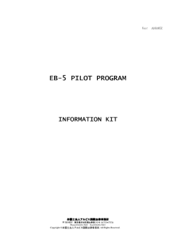 EB-5 PILOT PROGRAM