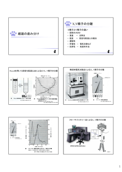 雌雄の産み分け X,Y精子の分離