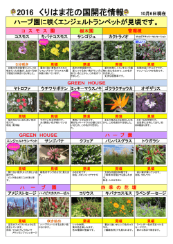 2016 くりはま花の国開花情報