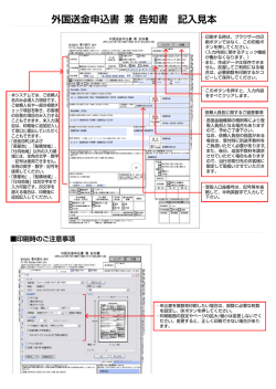海外送金申込書入力例