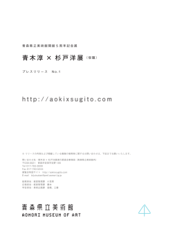 青木淳&times;杉戸洋展（仮題）