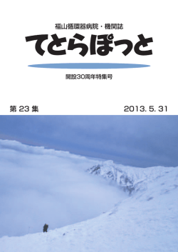 第23集（平成25年）［PDF］