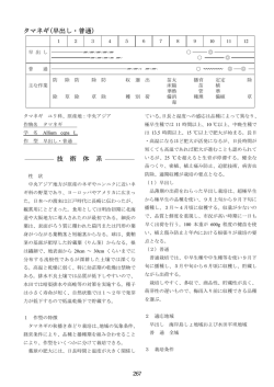 タマネギ(早出し・普通) 技 術 体 系
