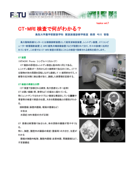 CT・MRI 検査で何がわかる？ - 鳥取大学農学部附属動物医療センター