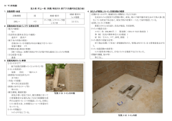 14 マリ共和国 記入者：村上一枝 (所属：特活カラ：西アフリカ農村自立