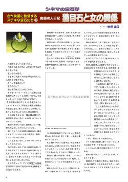 瘋癲老人日記「猫目石と女の関係」