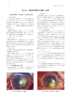 第 2 章 感染性角膜炎の病態・病型
