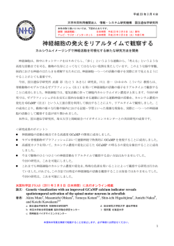 神経細胞の発火をリアルタイムで観察する