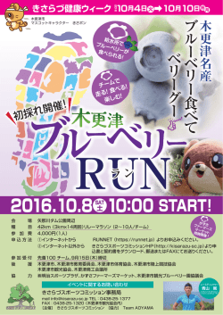 木更津ブルーベリーラン チラシPDF