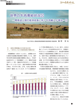 世界の牛肉需給状況 世界の牛肉需給状況