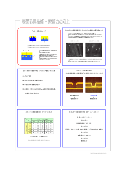 めっき密着力向上