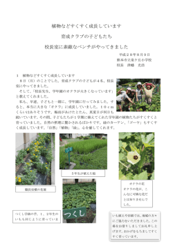 植物などすくすく成長しています 育成クラブの子どもたち 校長室に素敵な