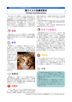 猫伝染性鼻気管炎
