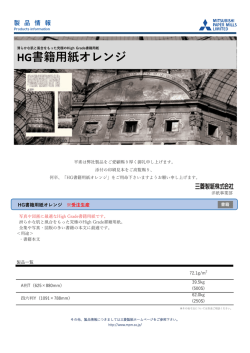 HG書籍用紙オレンジ