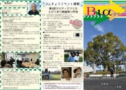 第31号