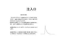 注入口