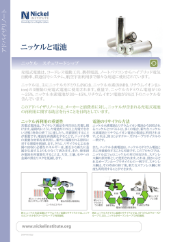 日本語版 [PDF : 696KB]