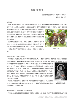 甲州ワインのいま - 山梨県食品技術研究会