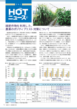 緑肥作物を利用した、 農薬のポジティブリスト対策