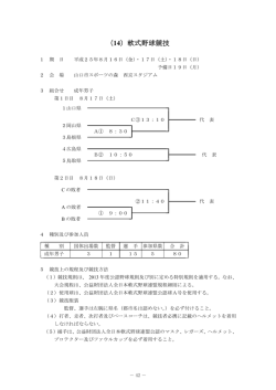 （14）軟式野球競技